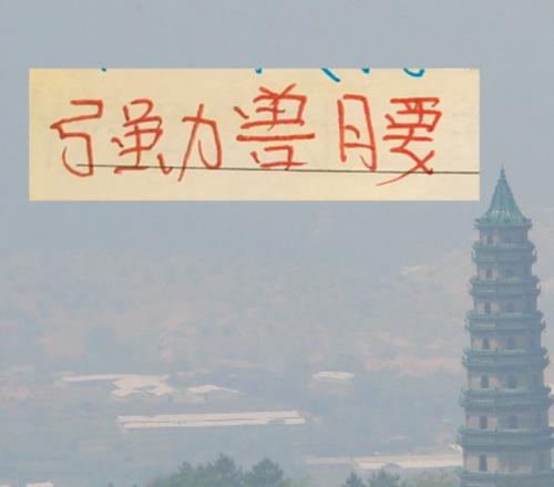 高宝璟回归,女子高坛亚,朴宝谦夺冠,JiuYou,九游,九游体育入口,九游官网,九游体育APP下载